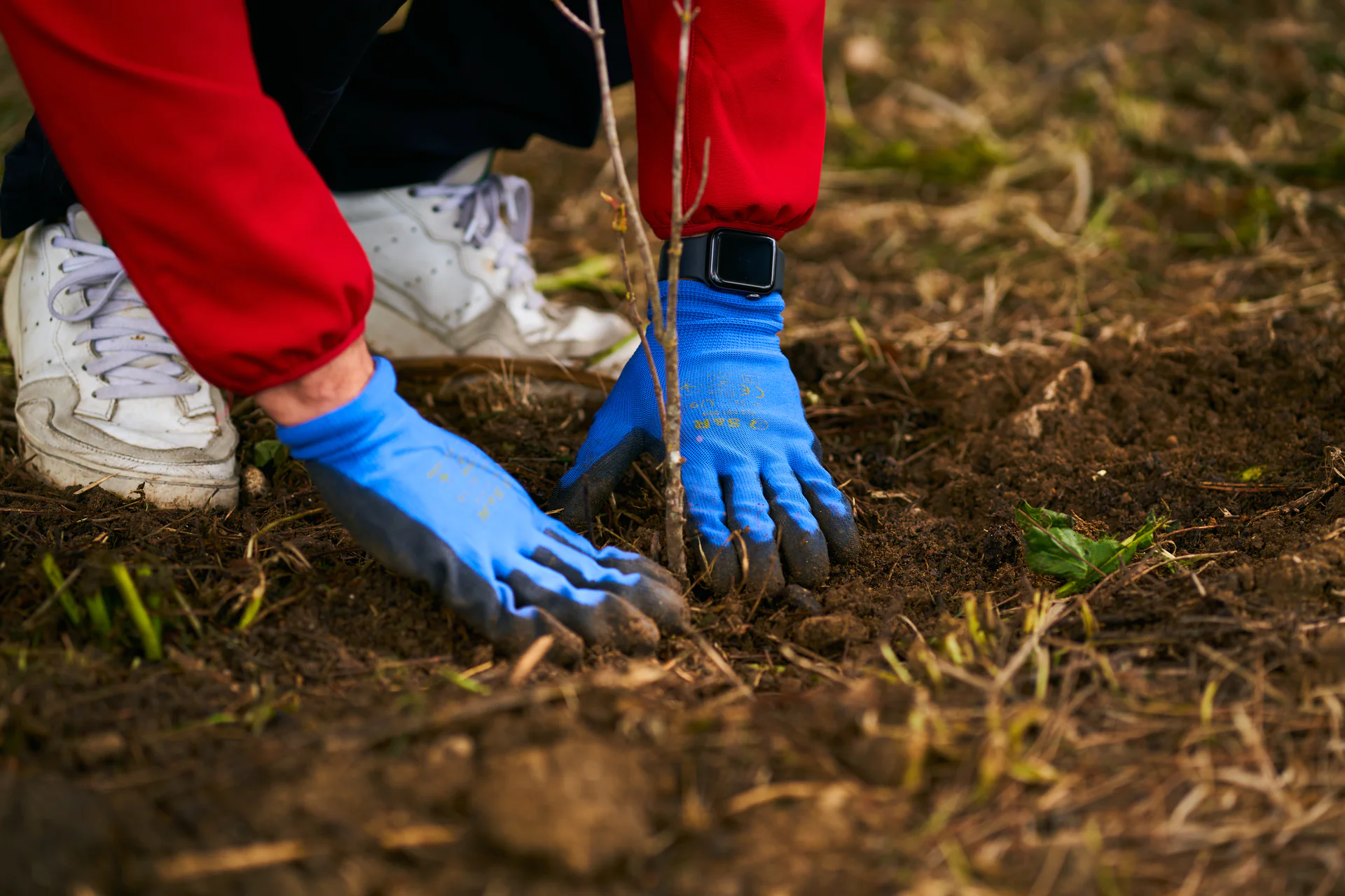 Nova Milanese, Monza Brianza