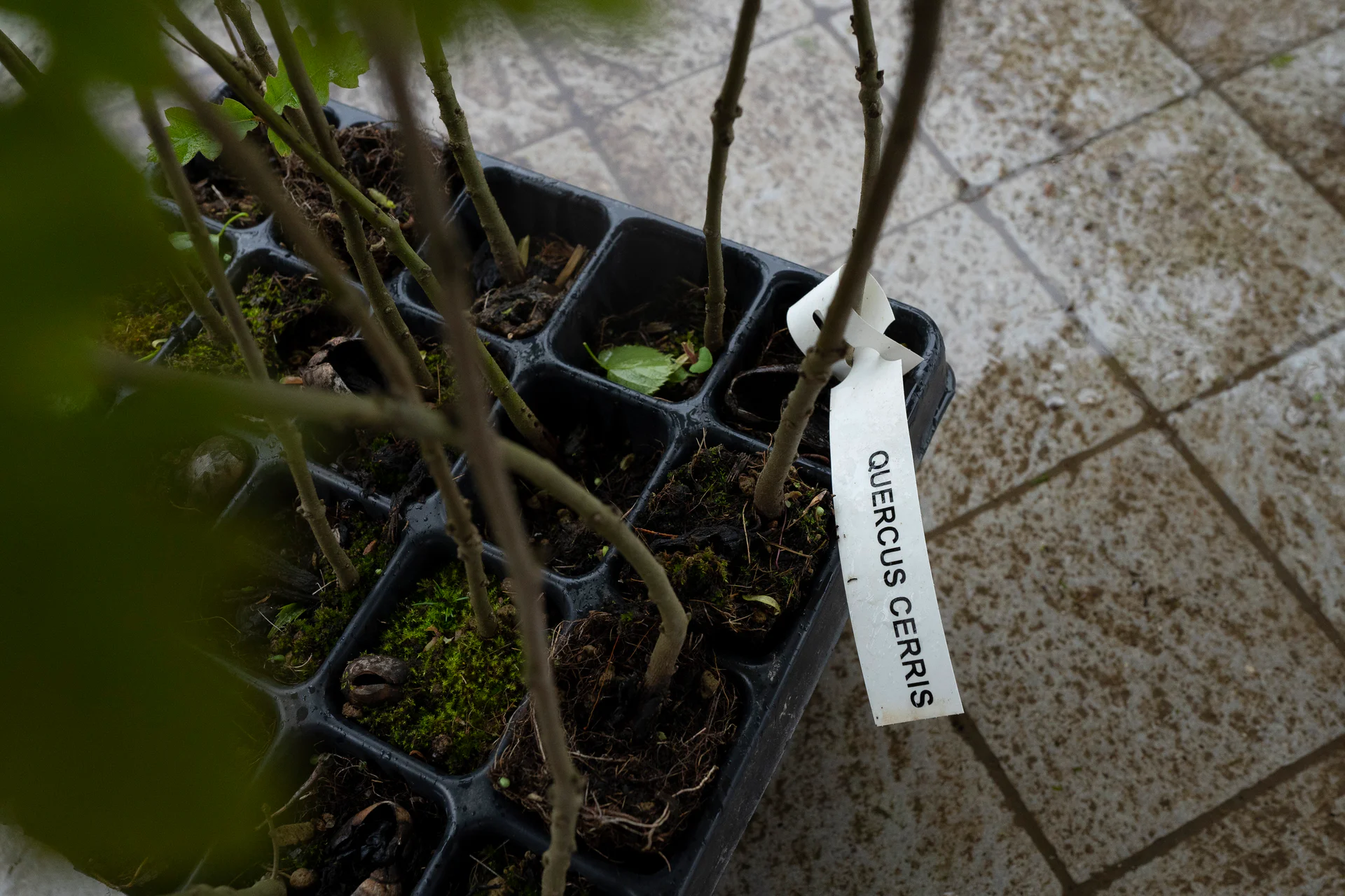 Nova Milanese, Monza Brianza