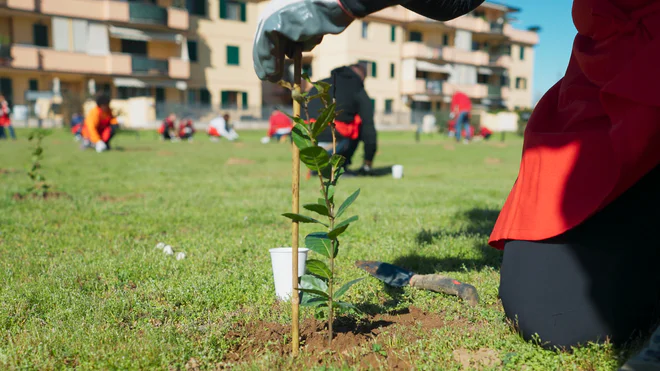 270323 - Viareggio_Conad_1.9.1.jpg