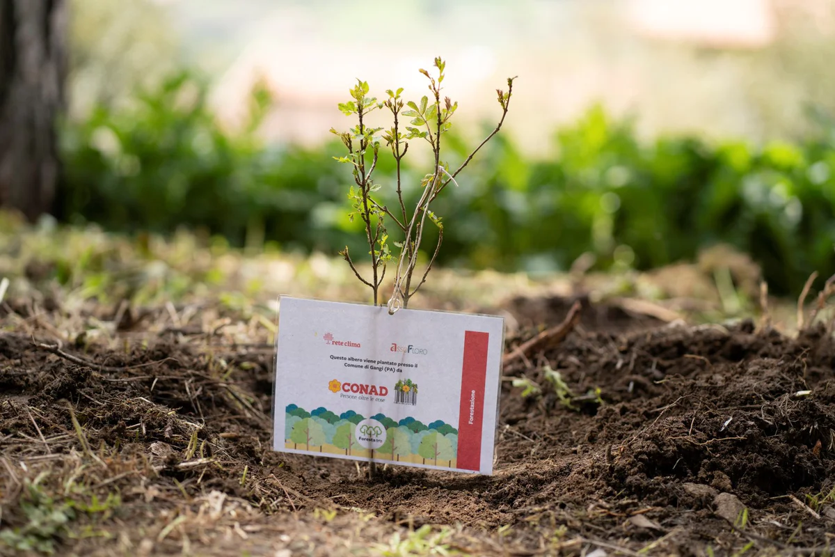 PAC 2000A_Forestiamo l'Italia_Gangi.jpg